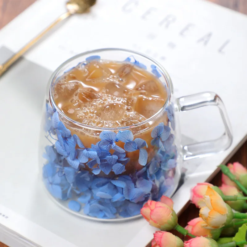 Elegante Doppelwandige Glastas – Double Wall Mug Bewertung und Preis