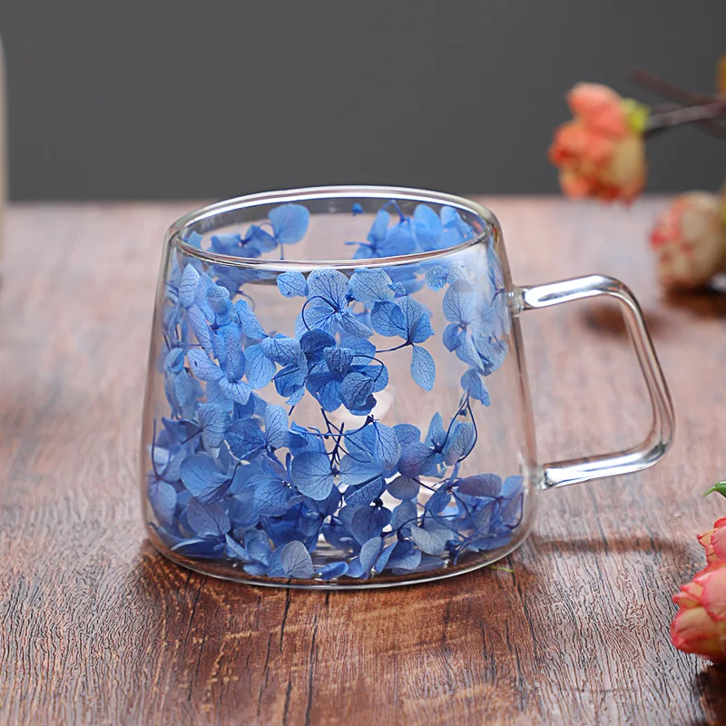 Elegante Doppelwandige Glastas – Double Wall Mug Bewertung und Preis